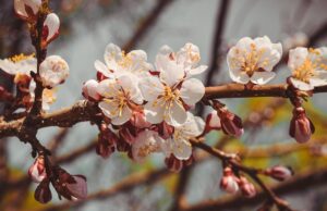Погода на майские праздники: после Пасхи должно потеплеть, но ждите дождей