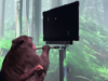 Ученые из проекта Neuralink научили обезьяну играть в Pong силой мысли