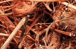 В Бразилии нашли бактерию, способную превращать токсичные ионы меди в полезный металл