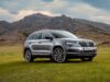 Тест-драйв Skoda Karoq 4×4: что с ним не так