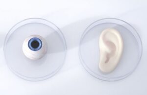 Ученые заявляют: люди способны развить в себе шестое чувство