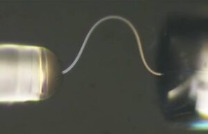 Китайские ученые создали гибкий лед, который можно гнуть и завязывать узлами