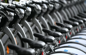 Велотранспортный союз поддержал идею строительства велотрассы Москва — Владивосток