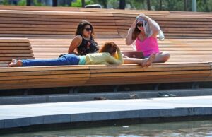 Коварные тепловые удары: нападают даже в тени и несут высокую смертность