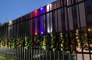 Миллион алых и белых роз: Балканисты прощаются с послом Сербии в Москве