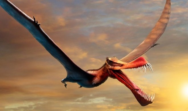 В Австралии нашли останки «летающего дракона» возрастом 110 миллионов лет 