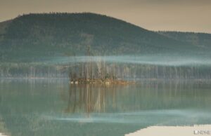 ЮНЕСКО объявила о создании 20 новых биосферных заповедников в 21 стране мира