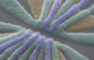 Первая тройная запутанность кремниевых кубитов сулит прорыв в создании квантовых компьютеров