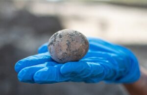 Ученые определили самую древнюю одомашненную птицу