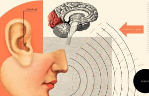 В Японии людей целенаправленно учат шестому чувству – эхолокации