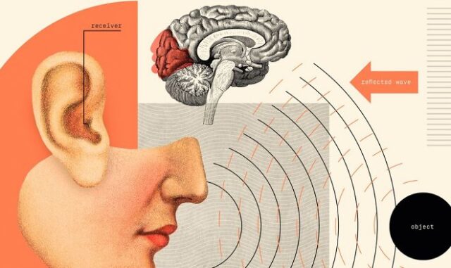 В Японии людей целенаправленно учат шестому чувству – эхолокации