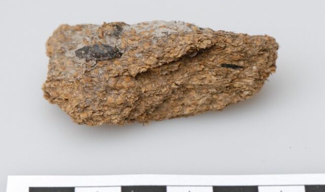 2700 лет назад европейские шахтеры закусывали пиво голубым сыром