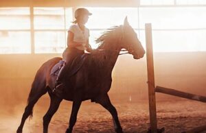 Неумолимая статистика свидетельствует, что верховая езда опаснее горных лыж и мотоцикла