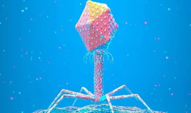 В природе существуют вирусы, которым мы должны быть благодарны за нашу эволюцию