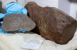 Найденный жителем Австралии гигантский «золотой самородок» оказался кое-чем гораздо более ценным