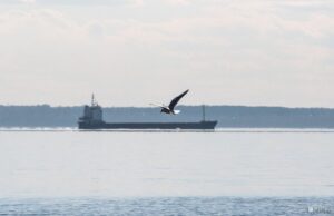 В Китае на реке Янцзы начал работу самый большой в мире лифт для кораблей