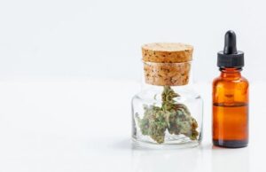 Каннабис снижает частоту приступов у эпилептиков на 86%