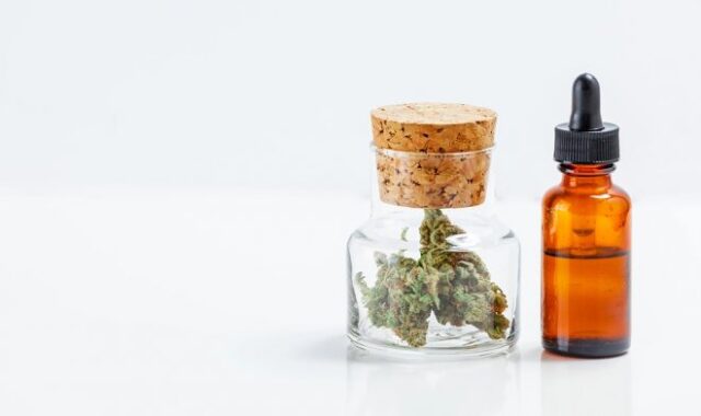 Каннабис снижает частоту приступов у эпилептиков на 86%