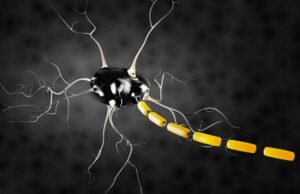 Сибирская язва станет обезболивающим средством