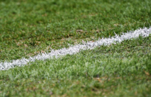 В «Спартаке» опровергли информацию о продаже стадиона в Сокольниках