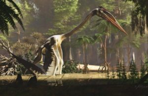 Самое крупное летающее существо в истории Земли летать совершенно не любило