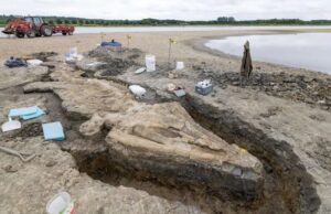 В Великобритании нашли останки крупнейшего в стране древнего «морского дракона»