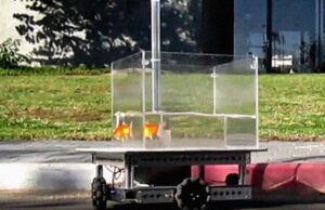 Золотых рыбок научили лихо ездить по суше в мобильных аквариумах