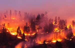 13 000 лет назад огненная буря уничтожила 10% поверхности Земли