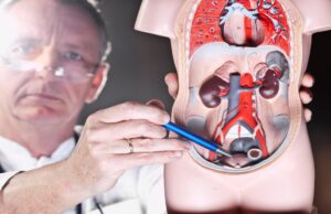 Консультация уролога: что включает, когда стоит обратиться