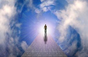 Первая в мире запись человеческого мозга в момент смерти показала, что он видит сон