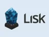 Криптовалюта Lisk (LSK): особенности технологии, кошельки, майнинг, покупка, прогнозы