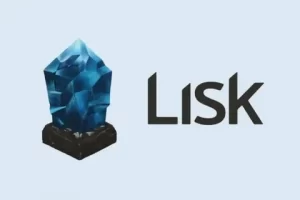 Криптовалюта Lisk (LSK): особенности технологии, кошельки, майнинг, покупка, прогнозы
