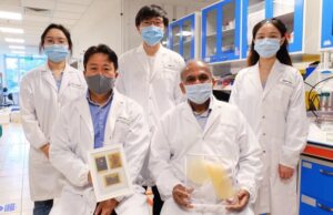 Ученые создали многоразовую экобумагу из пыльцы подсолнуха