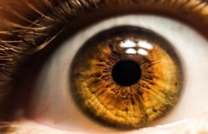 Глаза помогут диагностировать афантазию — неспособность мозга представлять визуальные образы