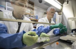 Ученым впервые удалось вырастить растения в лунном грунте