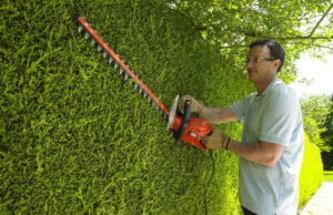 Резка живой изгороди