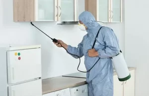 Травля тараканов: как убраться после этого мерояприятия? Профессионалы помогут