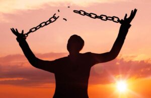 Свобода без Кода: направления, когда стоит обратиться. Условия и преимущества