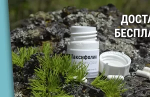 Сибирский Кедр: ваш путь к здоровью