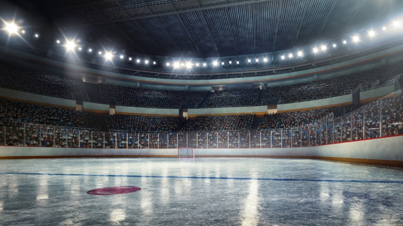 Бочкарёв: монтаж ледовой арены спорткомплекса в ТПУ «Некрасовка» начнётся в августе