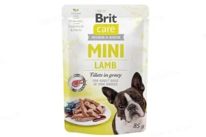 Brit Care: почему стоит выбрать именно этот корм для вашей собаки