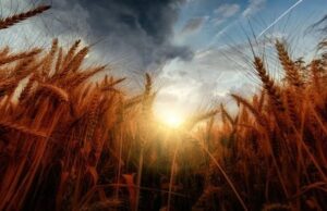 В этом году Всемирный день экологического долга вновь наступил раньше срока