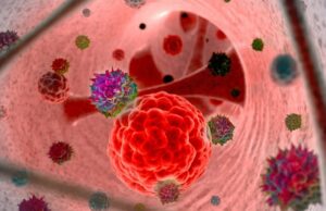 Модифицированный вирус герпеса показал эффективность в уничтожении раковых клеток