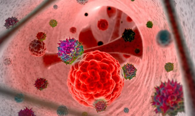 Модифицированный вирус герпеса показал эффективность в уничтожении раковых клеток 