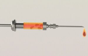 Ученые собираются вырастить внутри человека несколько минитюрных печеней