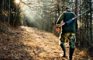 В Москомархитектуре сообщили о предложении построить в Клёновском стрелково-охотничий клуб