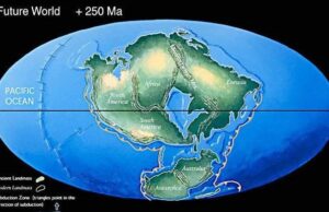 Через 300 миллионов лет на Земле появится новый суперконтинент Амазия