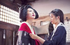 Пинку Эйга: понятие, особенности