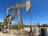 Нефтеядные бактерии позволят получить самый дешевый водород в мире