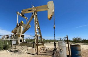 Нефтеядные бактерии позволят получить самый дешевый водород в мире